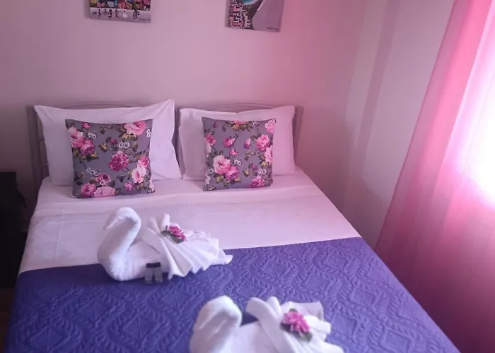 Lucy\'S House