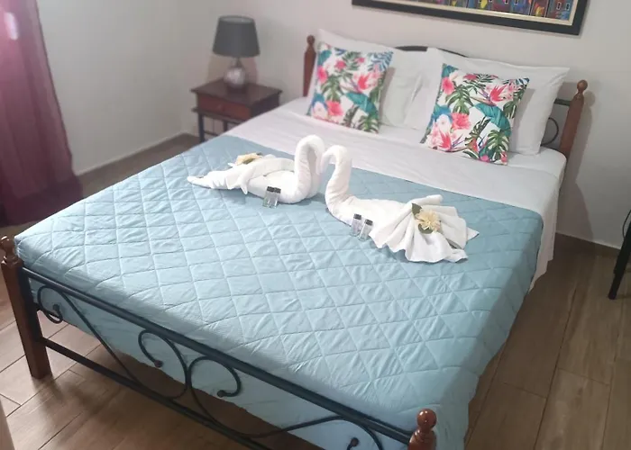Lucy\'S House