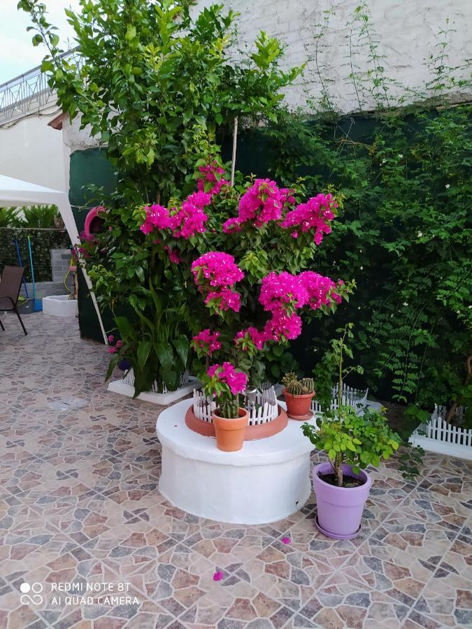 Apartment Lucy's House Limenas (Thasos)