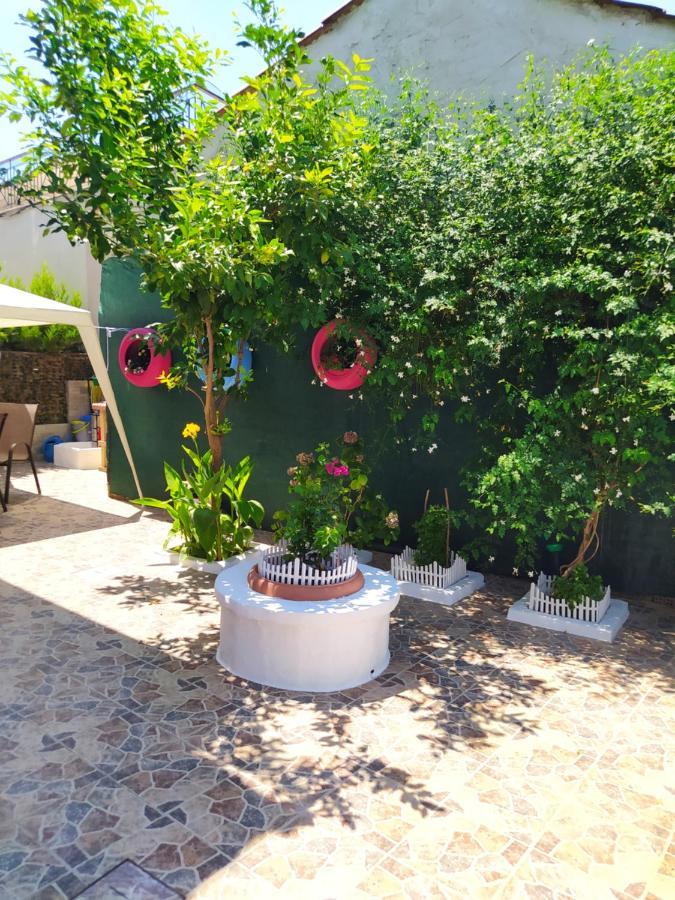 Lucy's House *